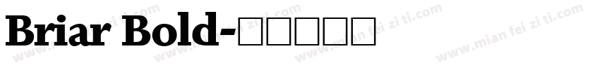 Briar Bold字体转换
